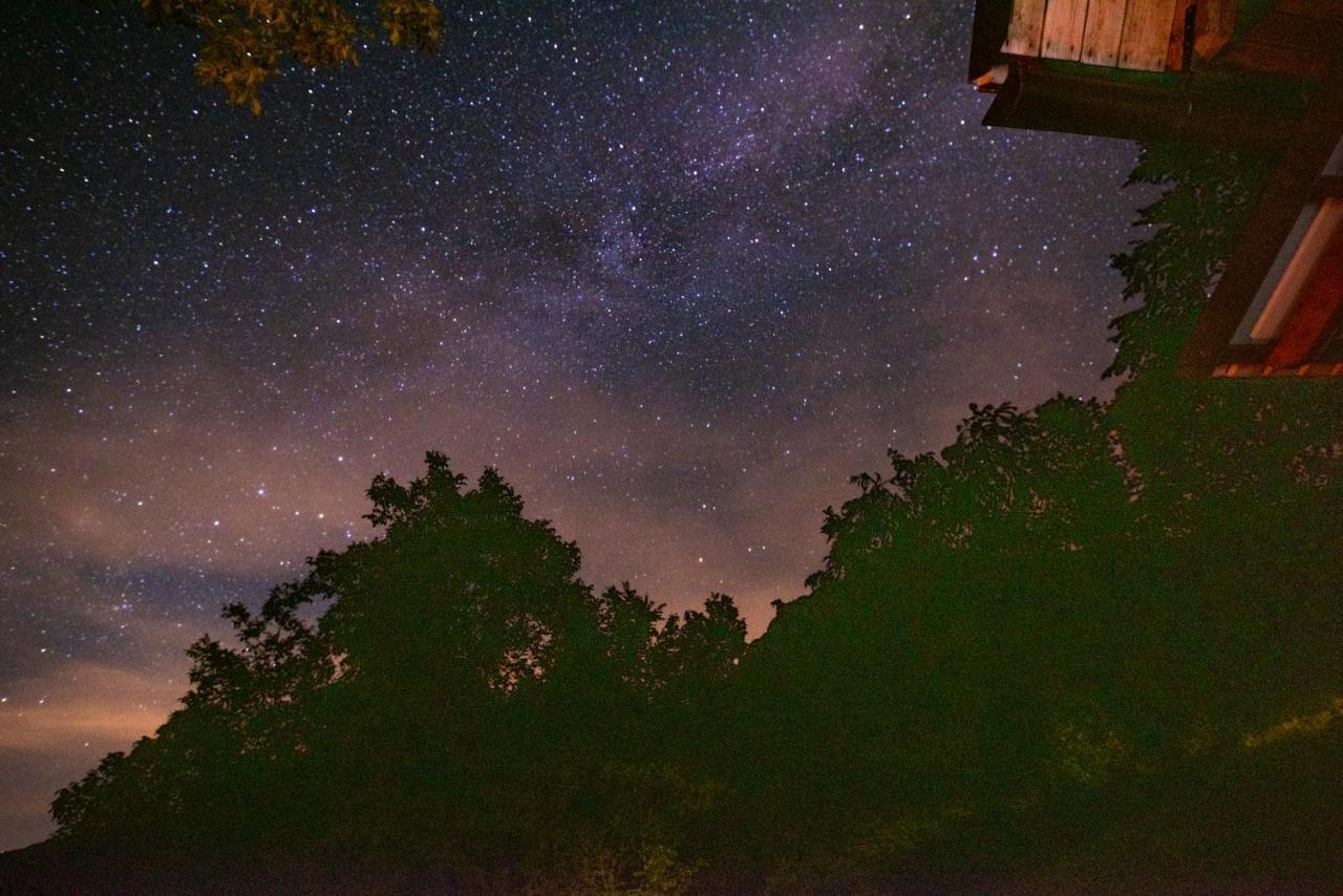 Miha Lodge - Mihcevo Plece Soča Exteriör bild